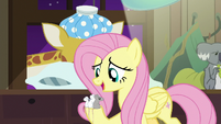 Fluttershy "every mouse has gotta wait their turn" S7E5