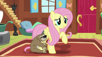 Fluttershy "other ponies may be experts" S7E5