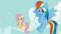 Fluttershy and Rainbow Dash are asked to help S2E24