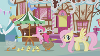 Fluttershy helping ducks S1E05