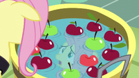 Fluttershy looks at her water reflection S5E21