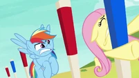 Fluttershy slams into an obstacle peg S6E18.png (735 KB)