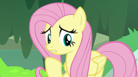 Fluttershy unsure about the amount of moss S7E20