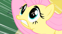 Fluttershy's wings are missing.