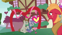 Maud and Mudbriar together on Hearts and Hooves Day S8E10
