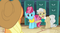 Mayor Mare "hard to know when it is a good time" S7E13