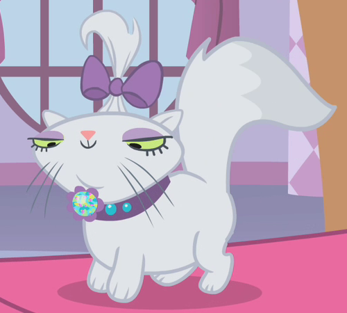 rarity cat