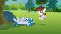 Pipsqueak excitedly shaking his hooves S7E21