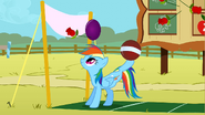 Rainbow Dash bouncing balls S01E13