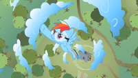 Rainbow Dash flying through circle of clouds S2E03