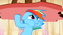 Rainbow Dash holding up column 2 S2E14