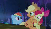 Rainbow Dash poking up behind log S3E6