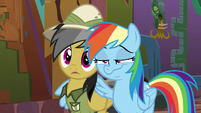 Rainbow puts a wing around Daring Do S6E13