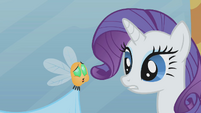 Rarity looking at belching parasprite S1E10