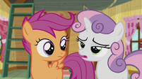 Sweetie Belle "We've run out of ideas" S5E18