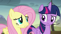 Twilight and Fluttershy hear the gate opening S5E23