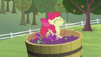 Apple Bloom stomping on grapes S2E05