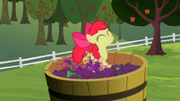 Apple Bloom stomping on grapes S2E05