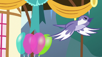 Bird flying through the pie-eating party S7E23