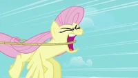 "...Meanie!" I'd be careful what you say, Fluttershy. You're speaking about your future husband right now!