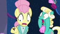 Fluttershy and Mare E. Lynn shocked S8E4