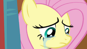 Fluttershy chorando T4E16