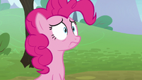 Pinkie Pie staring dejected at Mudbriar S8E3