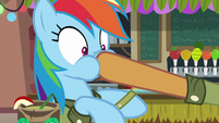 Quibble plugs Rainbow Dash's mouth S6E13