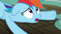 Rainbow Dash "what's so funny?" S8E5