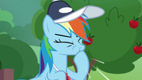 Rainbow Dash whistles with excitement S9E15