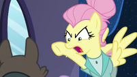 Snooty Fluttershy yelling at the raccoons S8E4