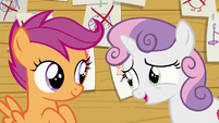 Sweetie Belle "And I know you two aren't interested" S6E4