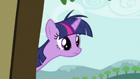 Twilight Sparkle sees something S2E03