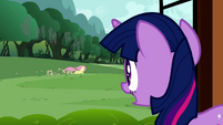Le gasp Twilight, as she watches a runaway Fluttershy.