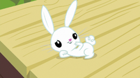 Angel Bunny looking cute at Fluttershy S9E18