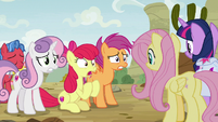 Apple Bloom "I know you're not gonna believe" S9E22