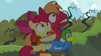 Apple Bloom and Big Mac frightened S4E09