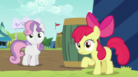 Apple Bloom and Sweetie Belle hears Orchard Blossom S5E17