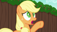 Applejack --not the fringe!-- S6E14