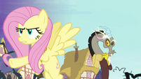 Fluttershy sticks up for Discord S4E01