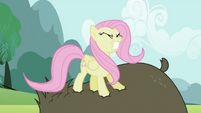 Fluttershy stomping on bear S2E03