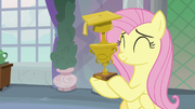 Fluttershy with Teacher of the Month trophy S8E9