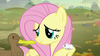 Fluttershy with a mouse and duck S5E23