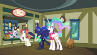 Luna and Celestia at the post office S9E13