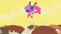 Pinkie Pie tossed into the air by the buffaloes S1E21