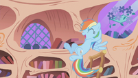 Rainbow Dash "I got the ticket" 2 S01E03