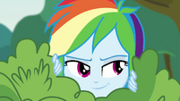 Rainbow Dash being sneaky EG3