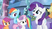 Rarity has gone DERP!
