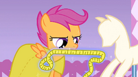 Scootaloo looking at measuring tape S1E23