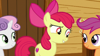 Apple Bloom "are you two thinkin' what I'm thinkin'?" S7E21